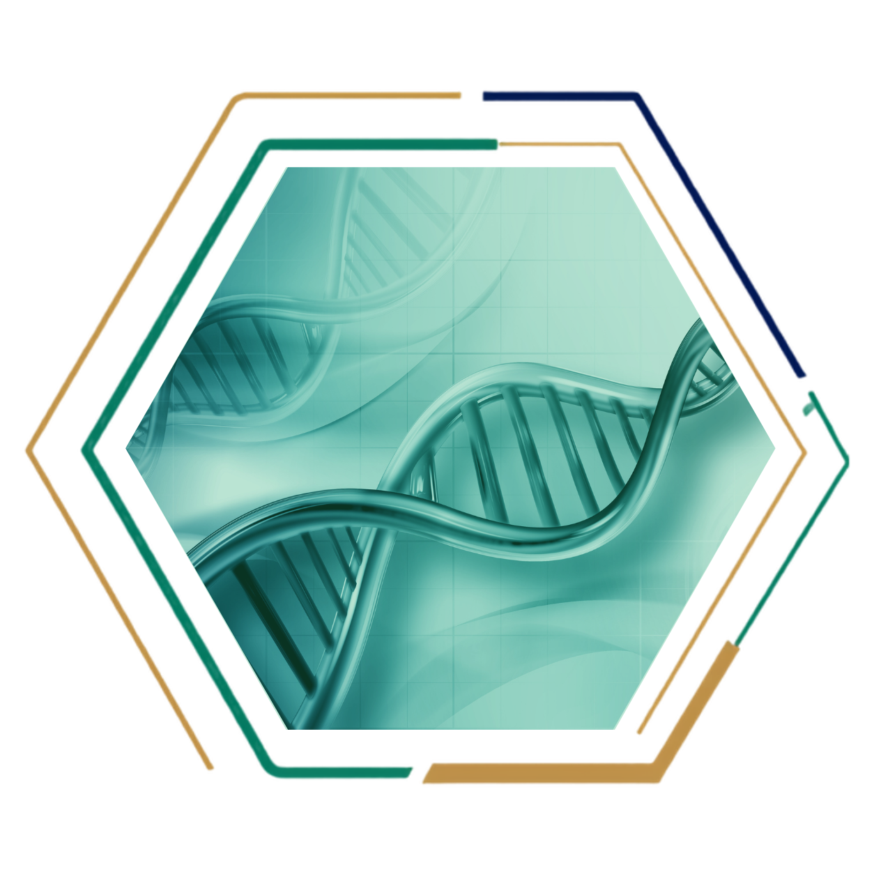 Información genética y epigenética heredada