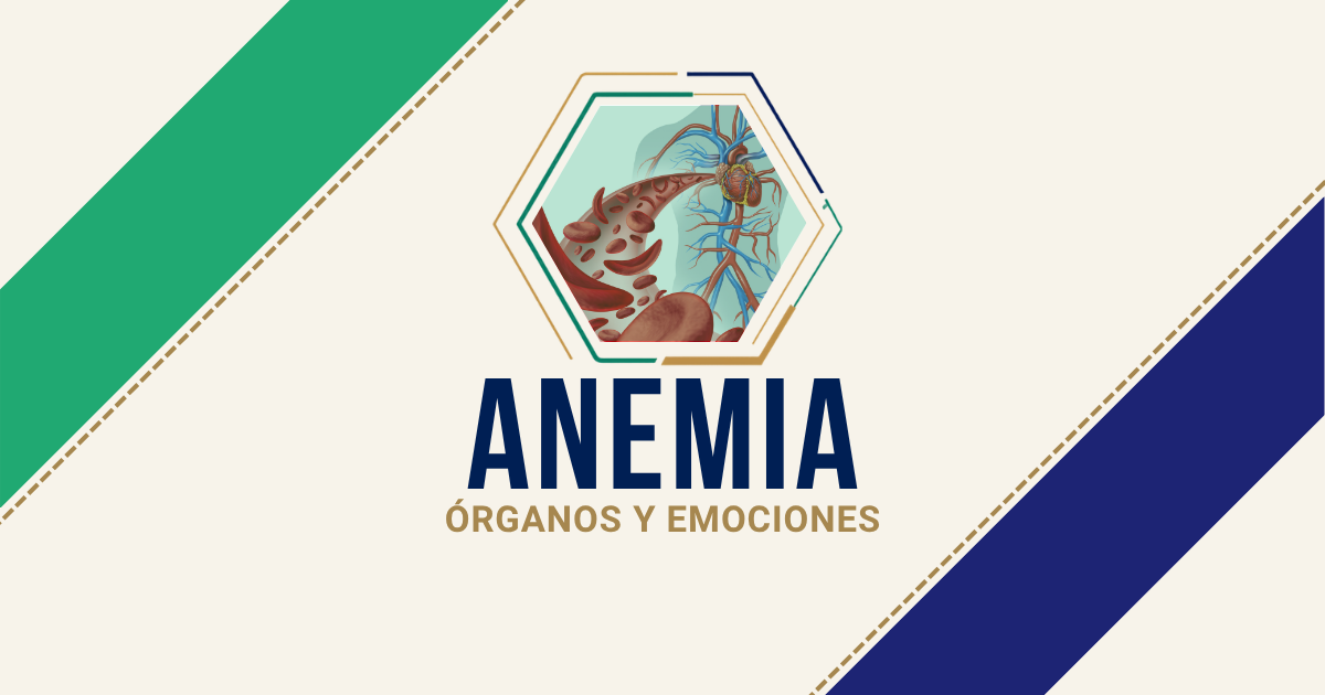 Anemia: origen emocional según Biodesprogramación