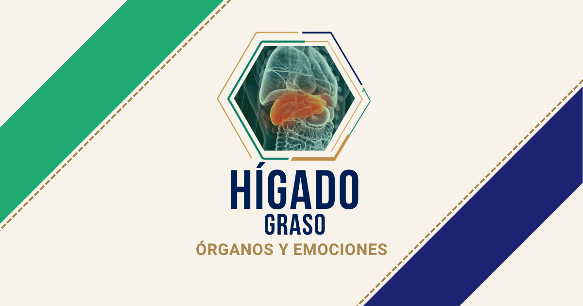 Hígado graso / Esteatosis hepática: origen emocional según Biodesprogramación