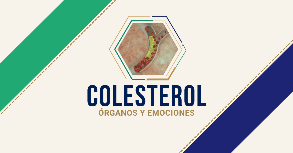 Colesterol: origen emocional según Biodesprogramación