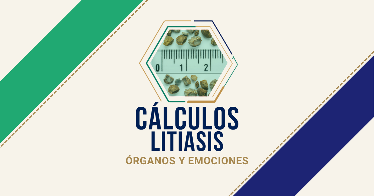 Cálculos / Litiasis: origen emocional según Biodesprogramación
