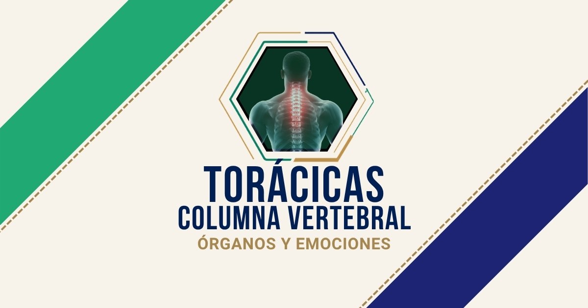 Torácicas o Dorsales: origen emocional según Biodesprogramación
