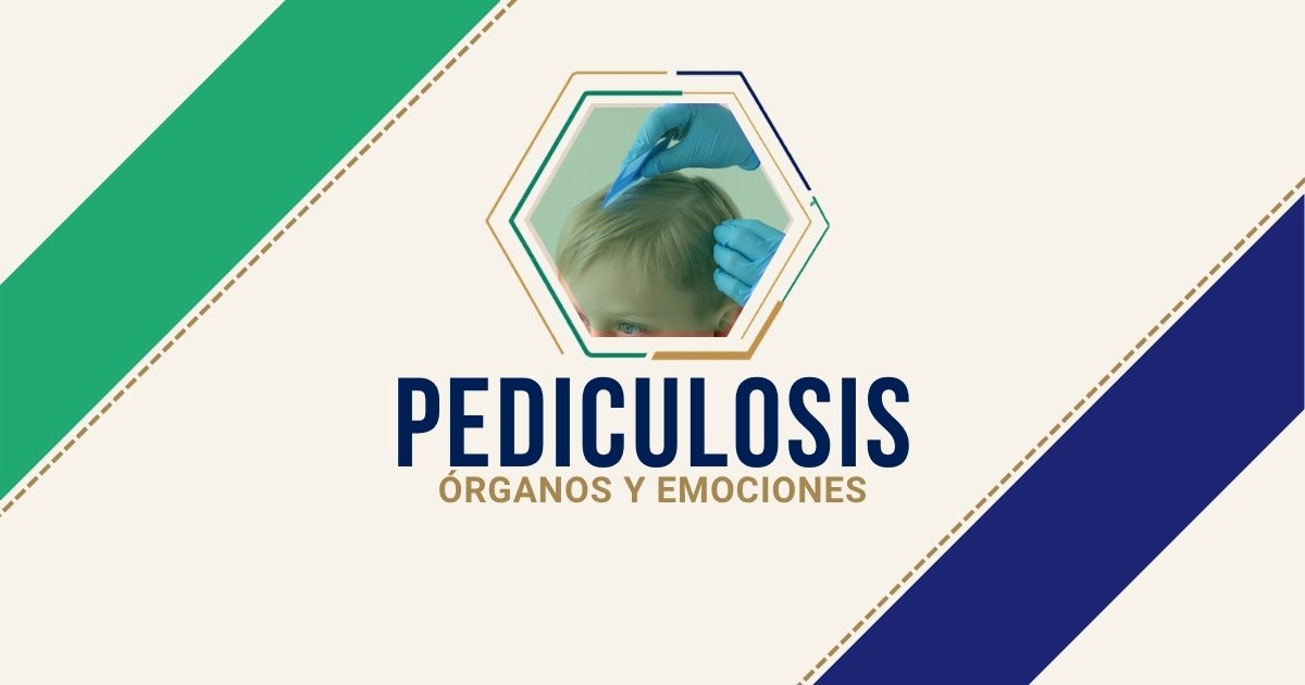 Pediculosis: origen emocional según Biodesprogramación