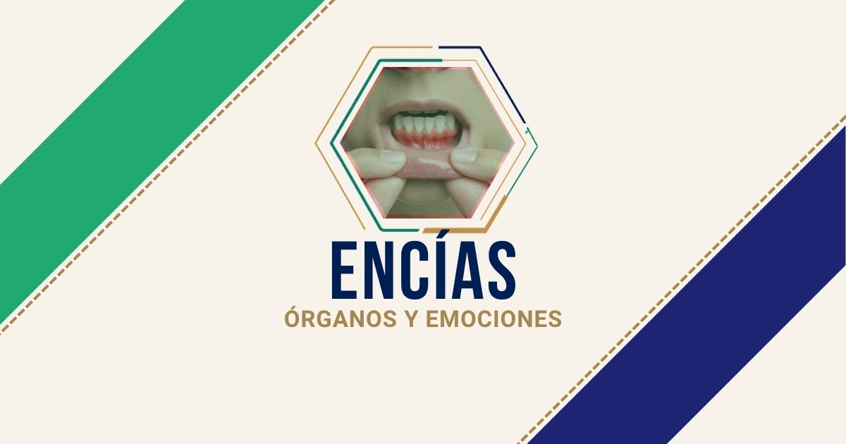 Encías: origen emocional según Biodesprogramación