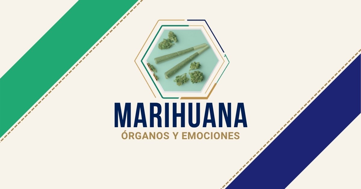 Marihuana: origen emocional según Biodesprogramación