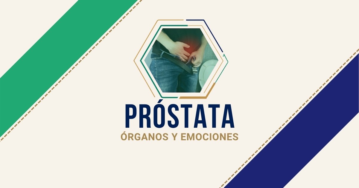 Próstata: origen emocional según Biodesprogramación