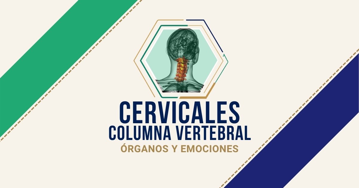 Cervicales: origen emocional según Biodesprogramación
