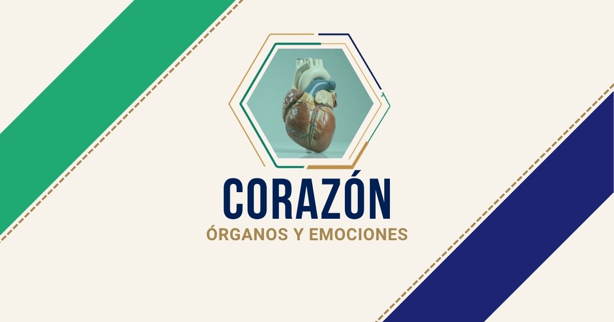 Corazón: origen emocional según Biodesprogramación