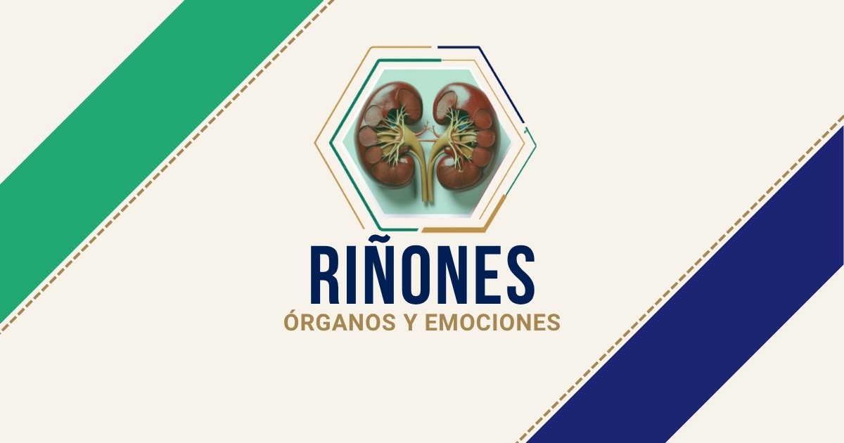 Riñones: origen emocional según Biodesprogramación