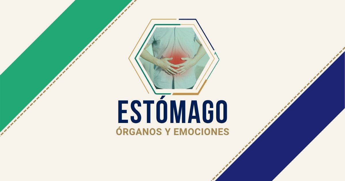 Estómago: origen emocional según Biodesprogramación